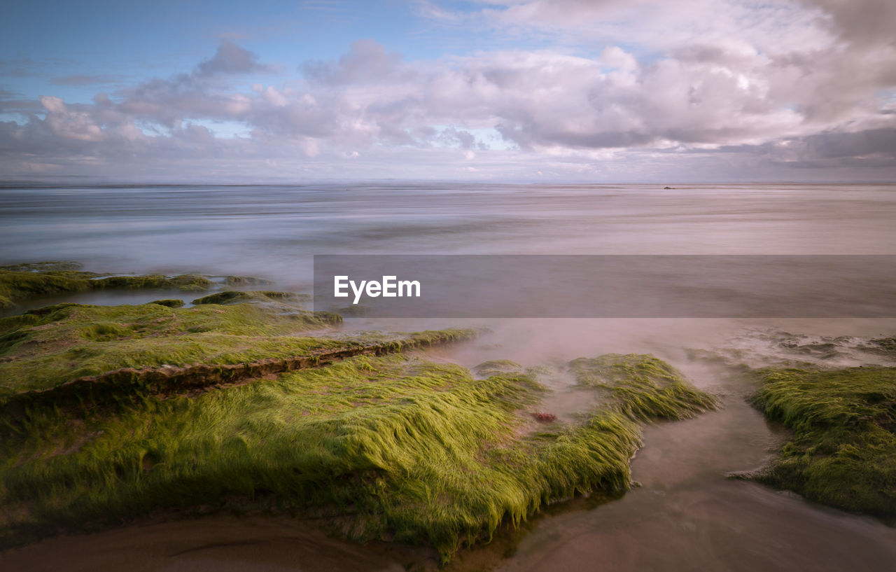 Mossy rock formations at seashore against cloudy sky