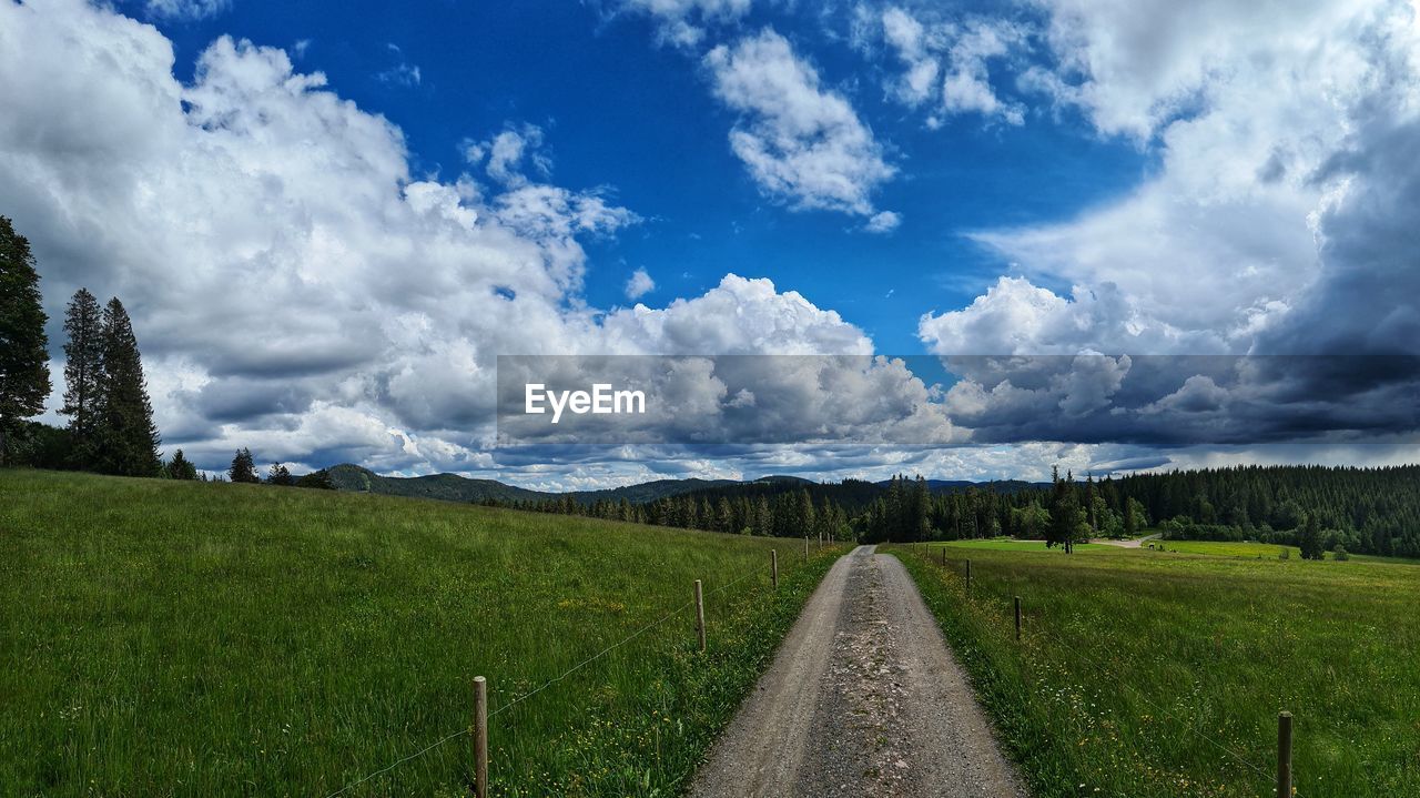 PANORAMIC SHOT OF EMPTY ROAD ALONG LANDSCAPE