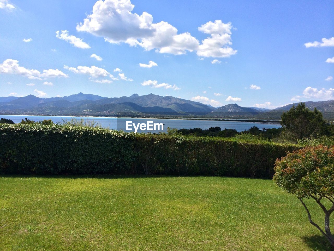 Garden with sea in the background