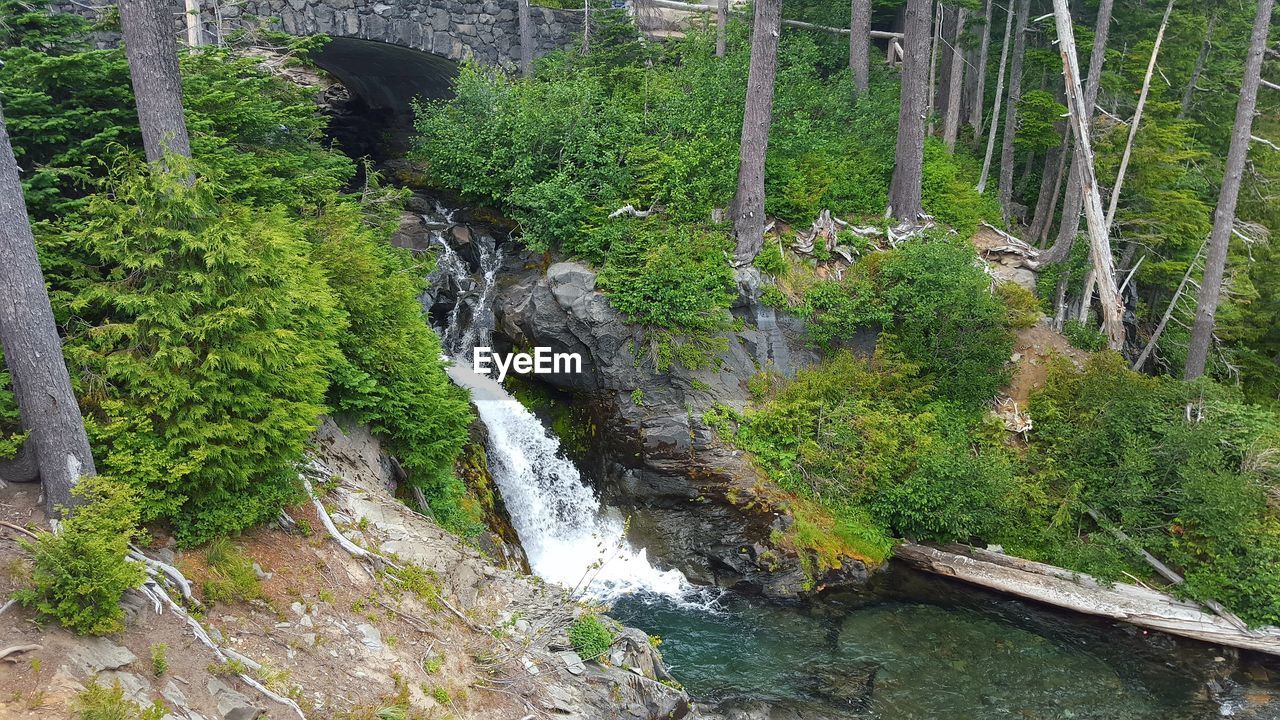 SCENIC VIEW OF WATERFALL