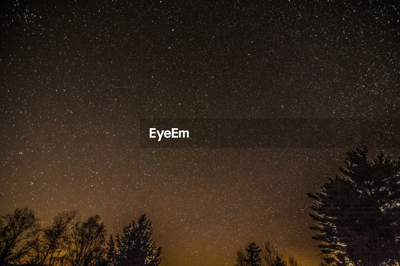 Low angle view of silhouette trees against star field at night