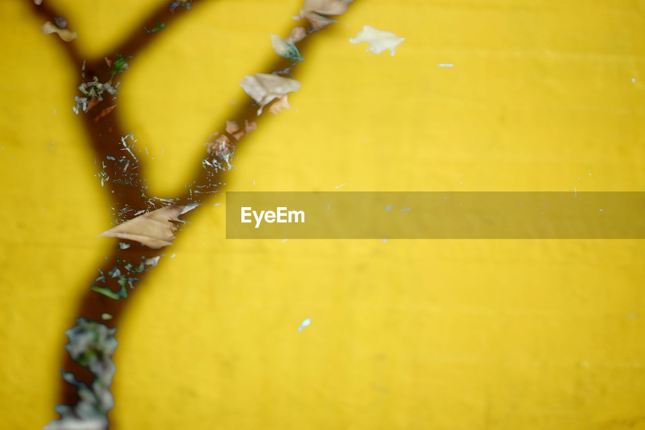 Double exposure of yellow glass and plants