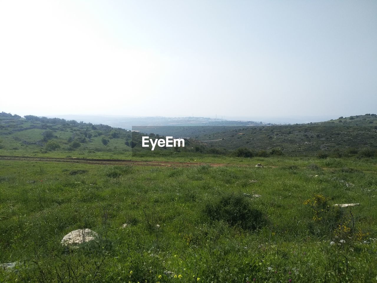 SCENIC VIEW OF LAND AGAINST CLEAR SKY