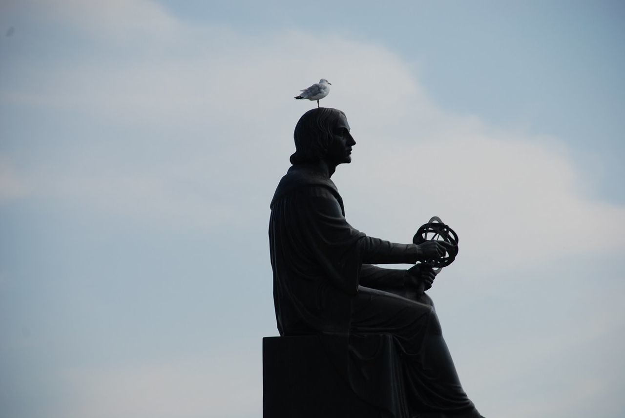 Low angle view of seagull perching on statue against sky