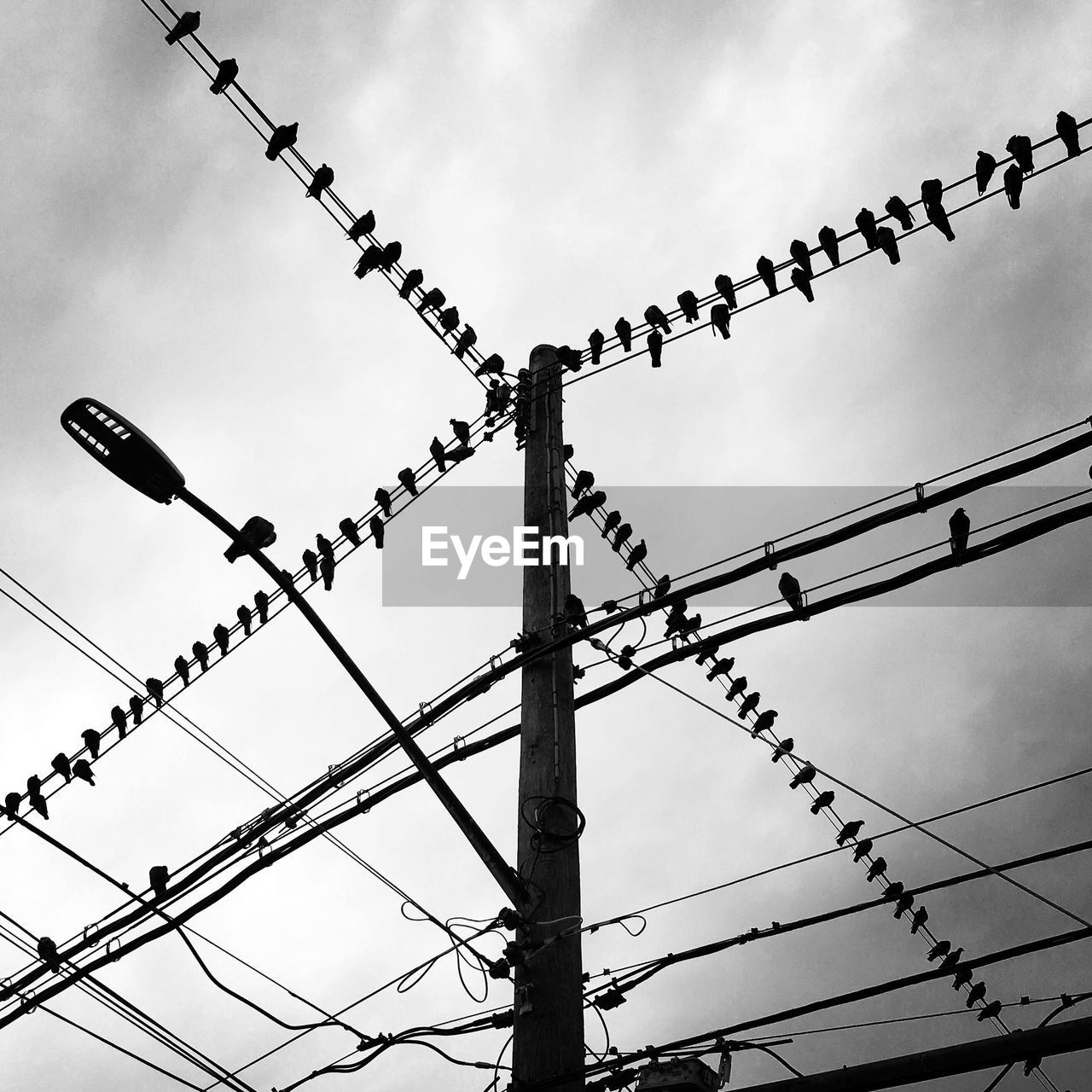 LOW ANGLE VIEW OF POWER LINES AGAINST SKY