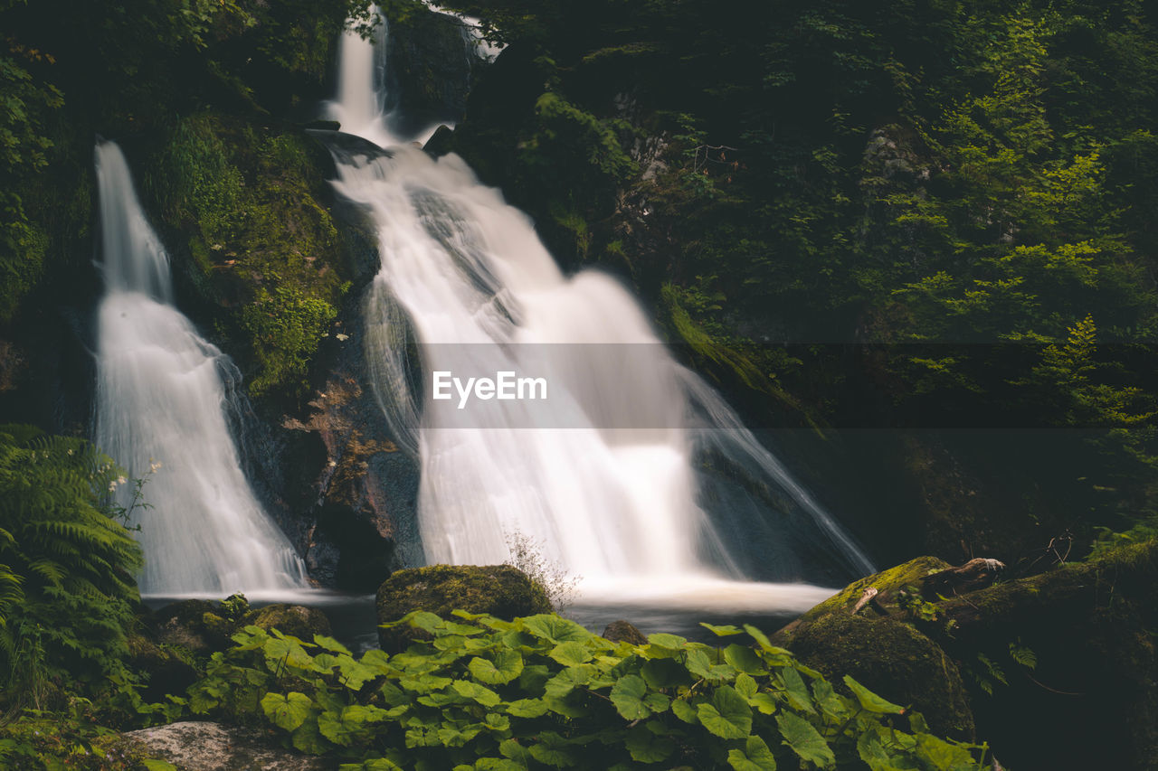 Scenic view of  triberg waterfall in black forest germany