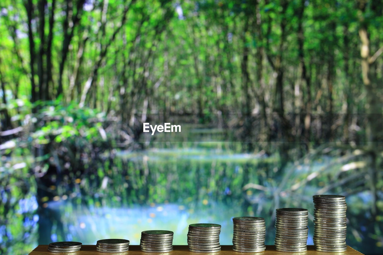 VIEW OF A STACK OF A TREE