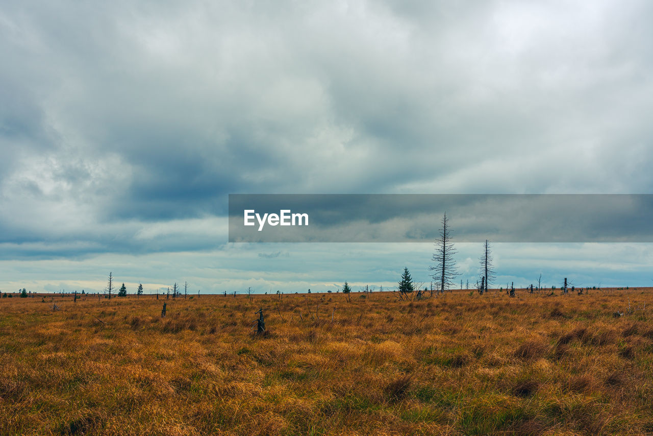 SCENIC VIEW OF LAND AGAINST SKY