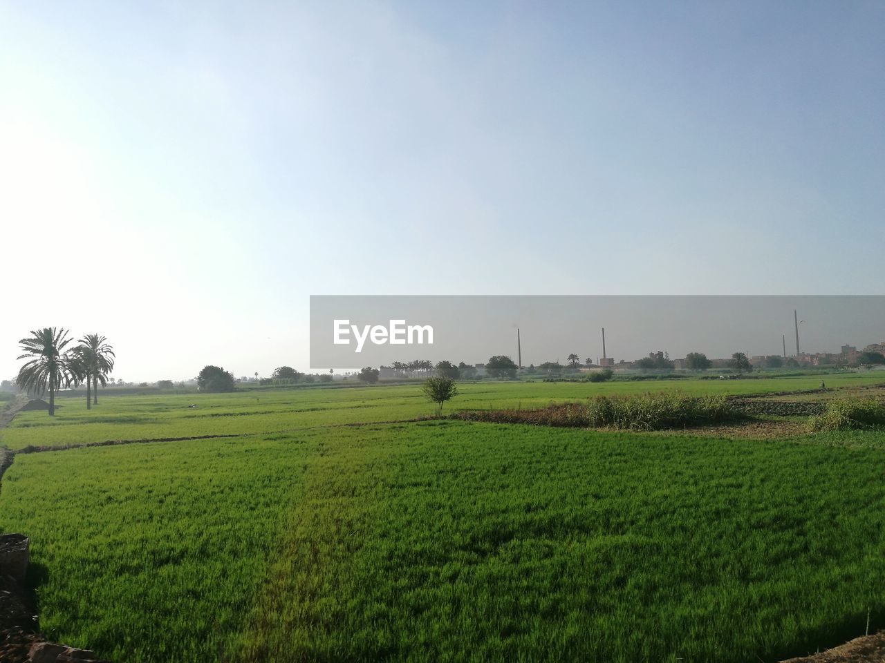 Farm against sky on sunny day