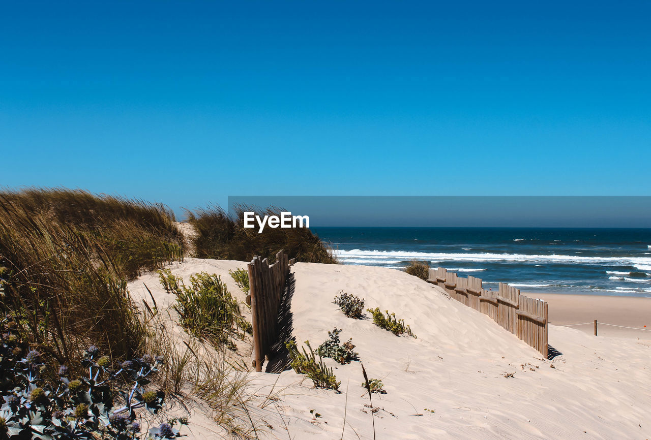 Scenic view of beach against clear blue sky