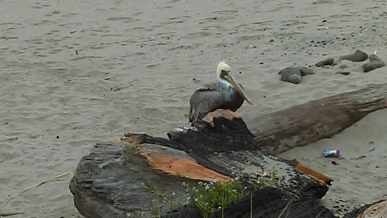 VIEW OF ROCKS IN WATER