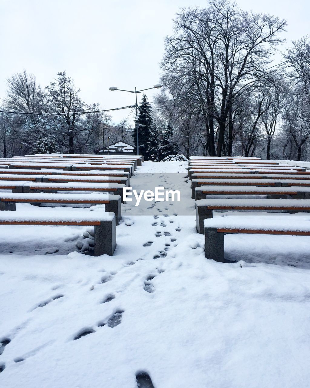 SNOW COVERED BENCH BY BARE TREES ON FIELD