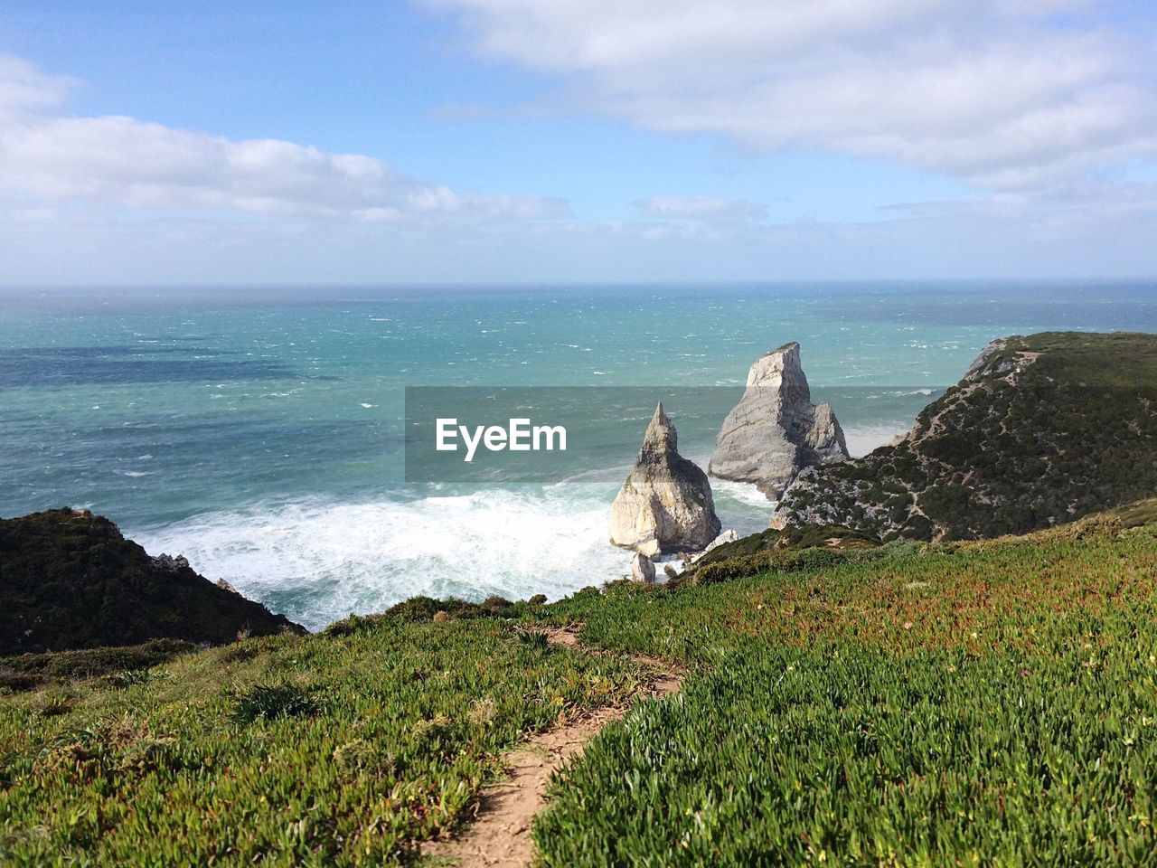 Grassy field and rocks by sea against cloudy sky