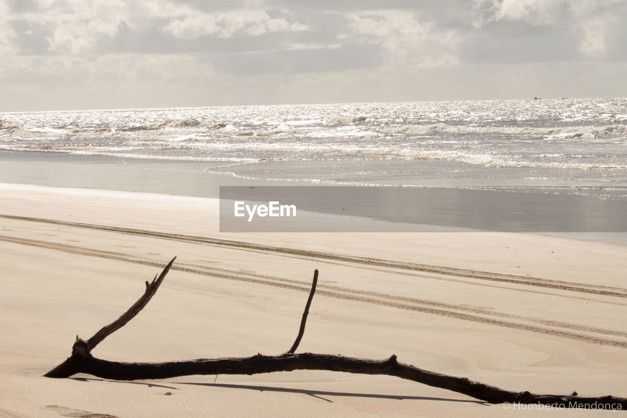 Driftwood on beach against sky