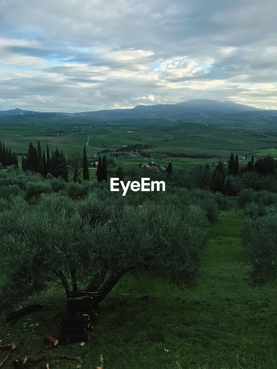 SCENIC VIEW OF AGRICULTURAL LANDSCAPE AGAINST SKY