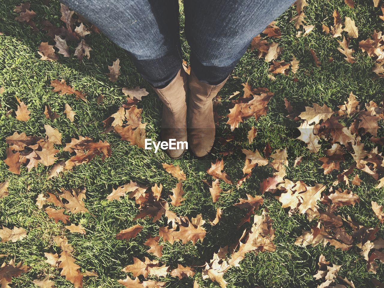 Low section of person standing on field surrounded by autumn leaves