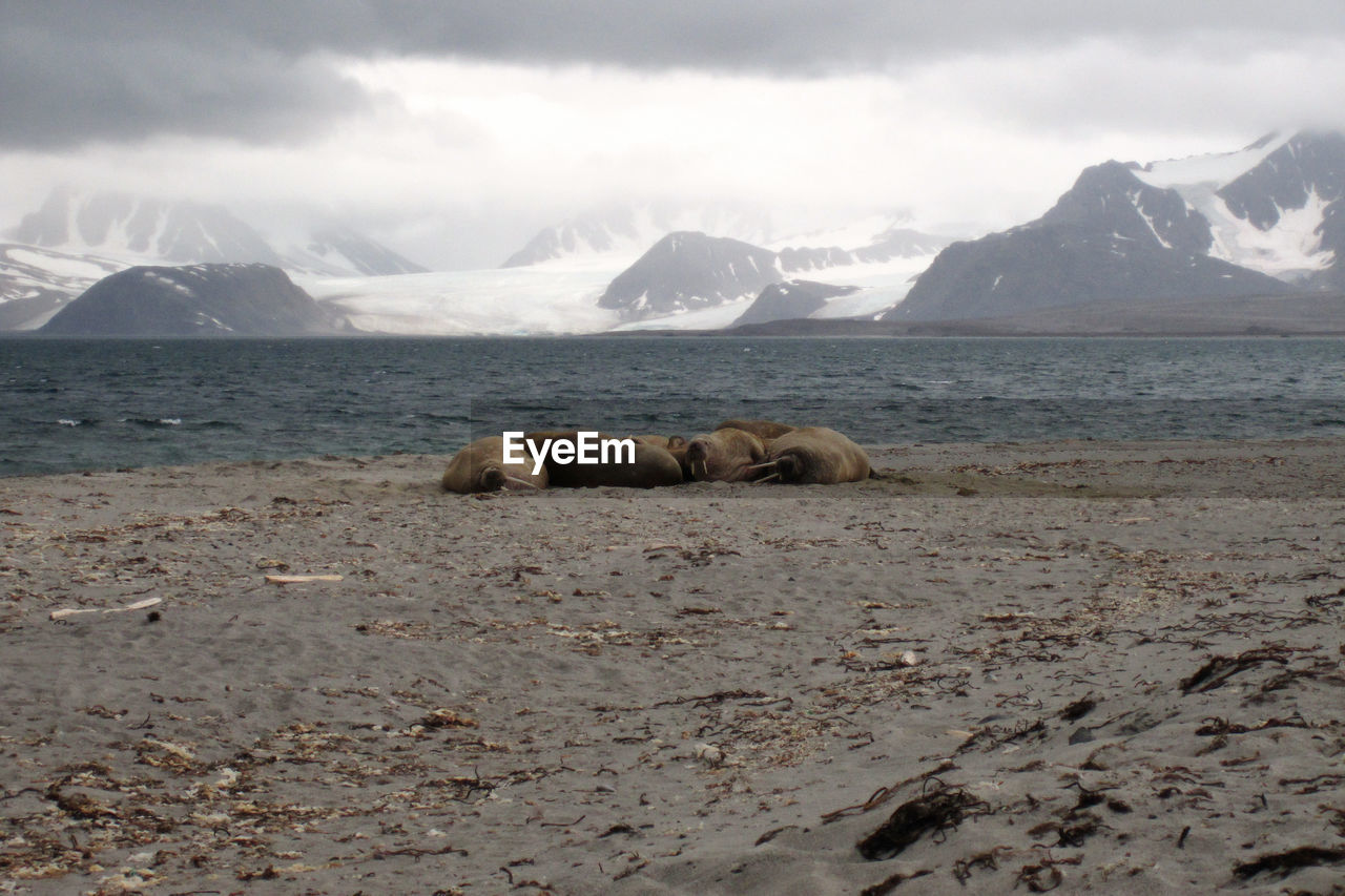 SCENIC VIEW OF SEA BY MOUNTAIN AGAINST SKY