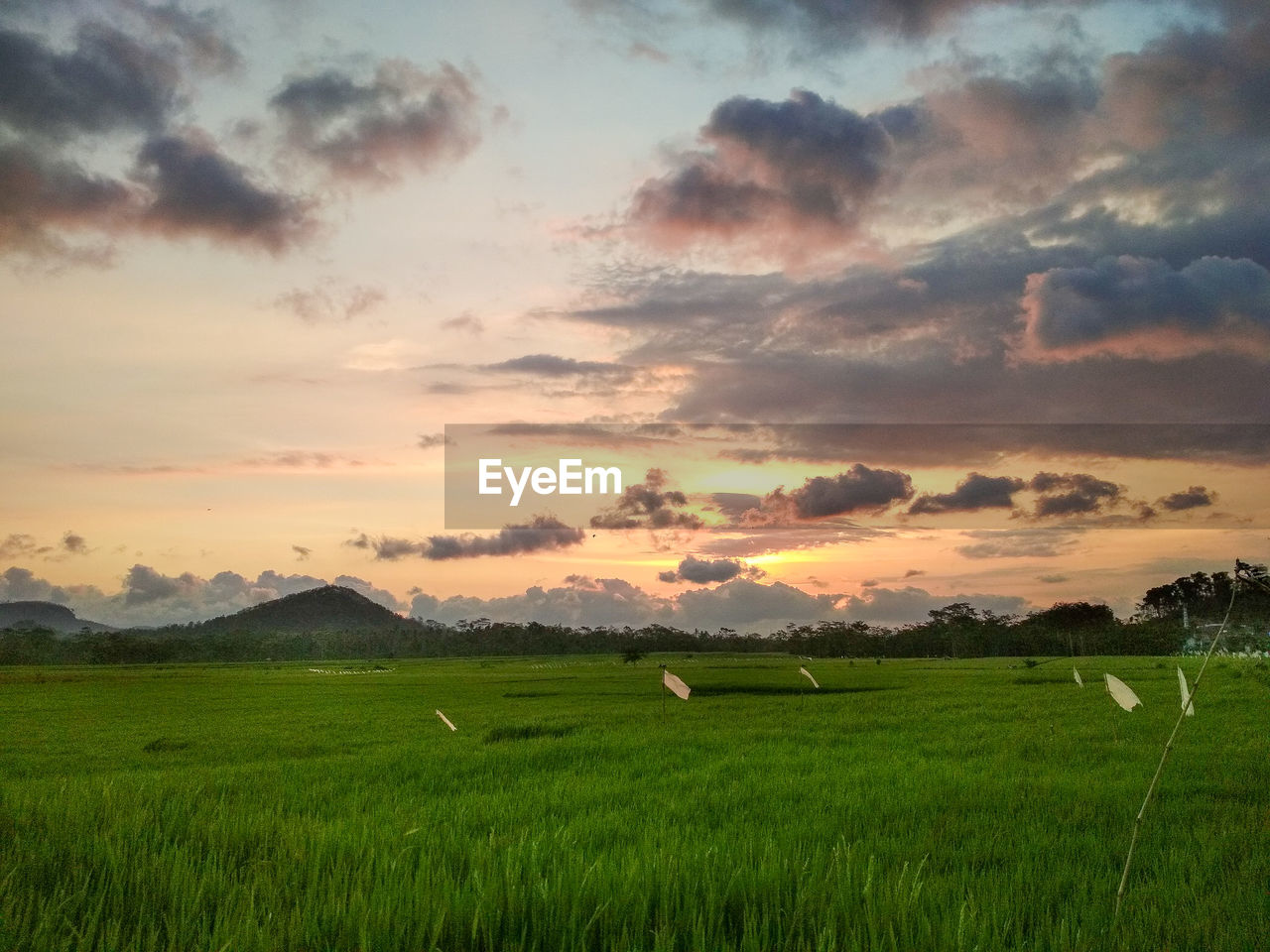 SCENIC VIEW OF FARM AGAINST SKY DURING SUNSET