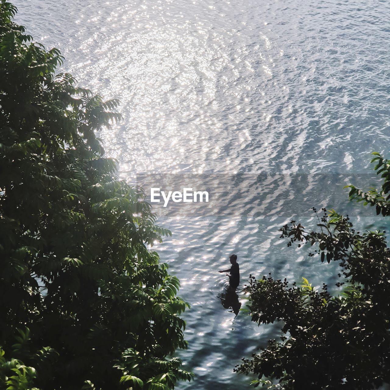 HIGH ANGLE VIEW OF A BIRD IN SEA