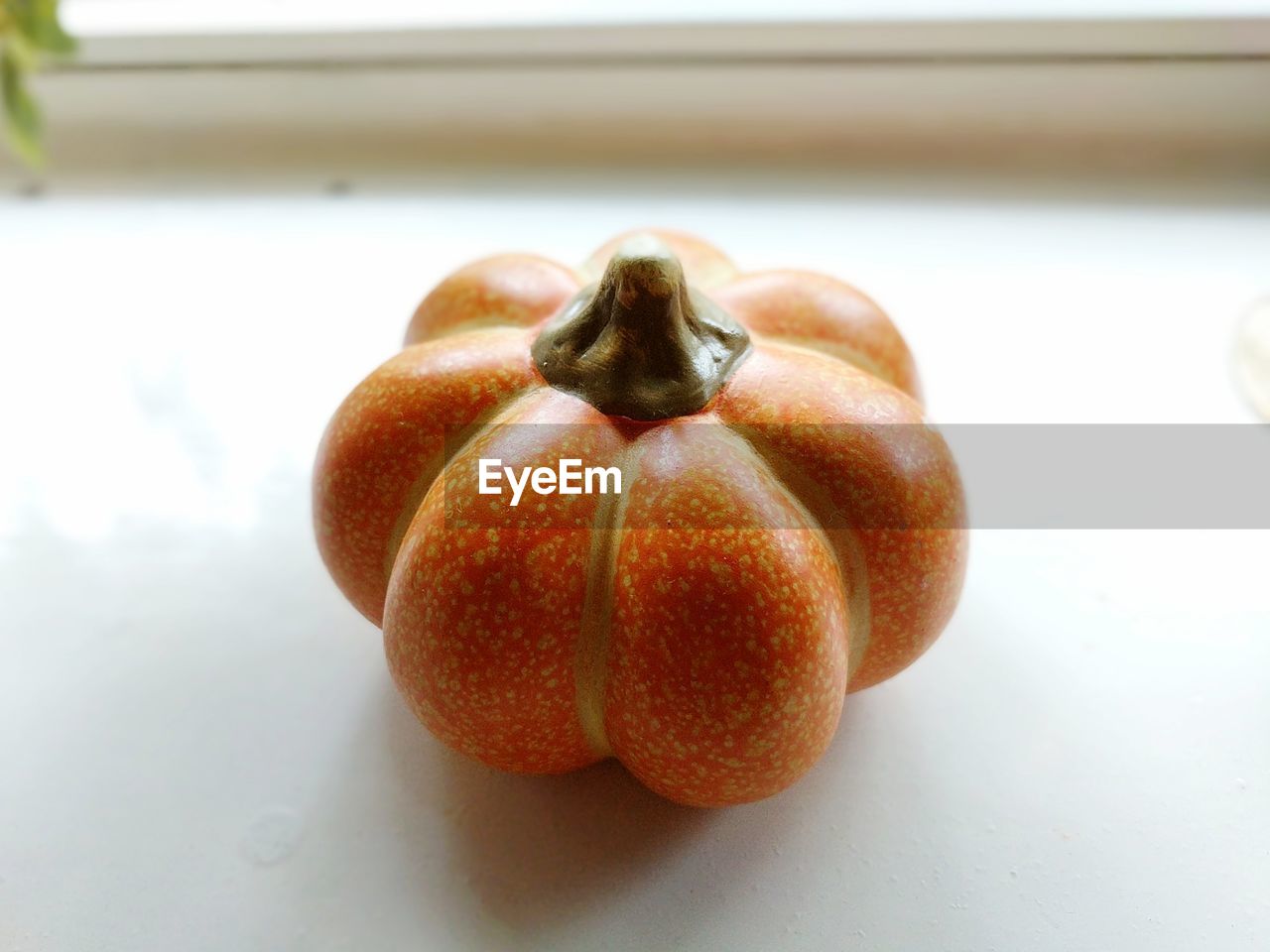 CLOSE-UP OF ORANGES