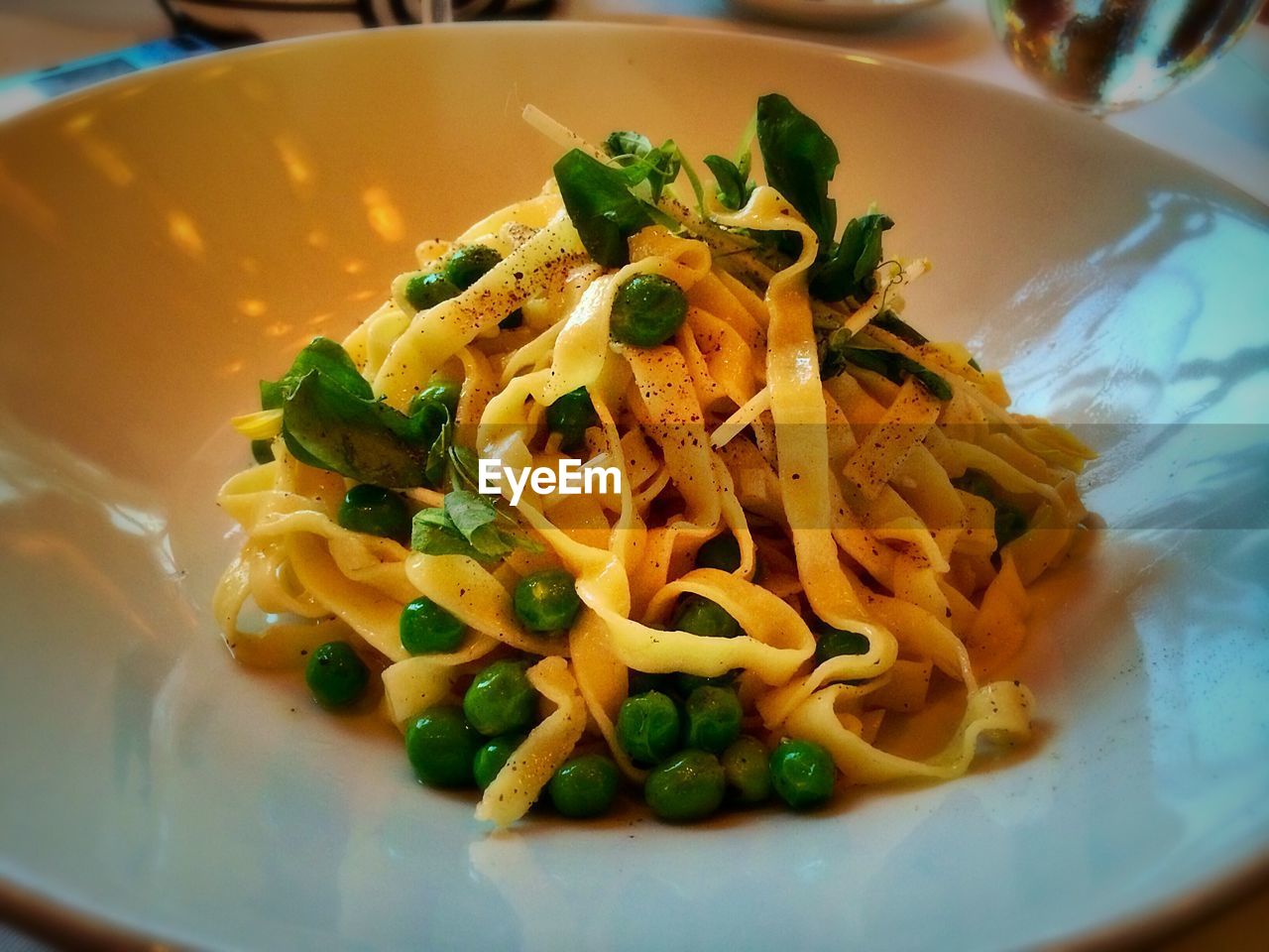 Close-up of served food in plate