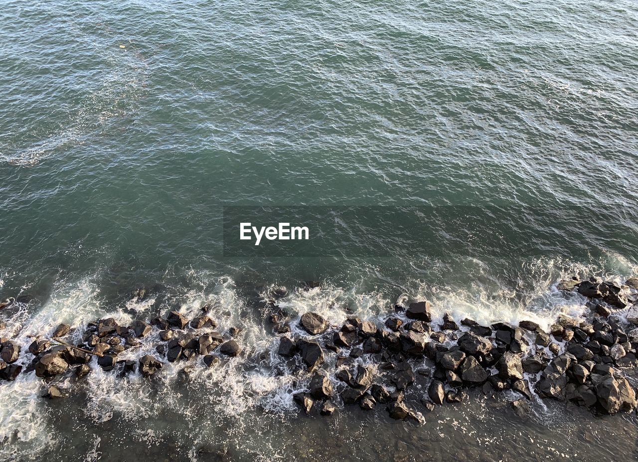 HIGH ANGLE VIEW OF CRAB ON ROCK