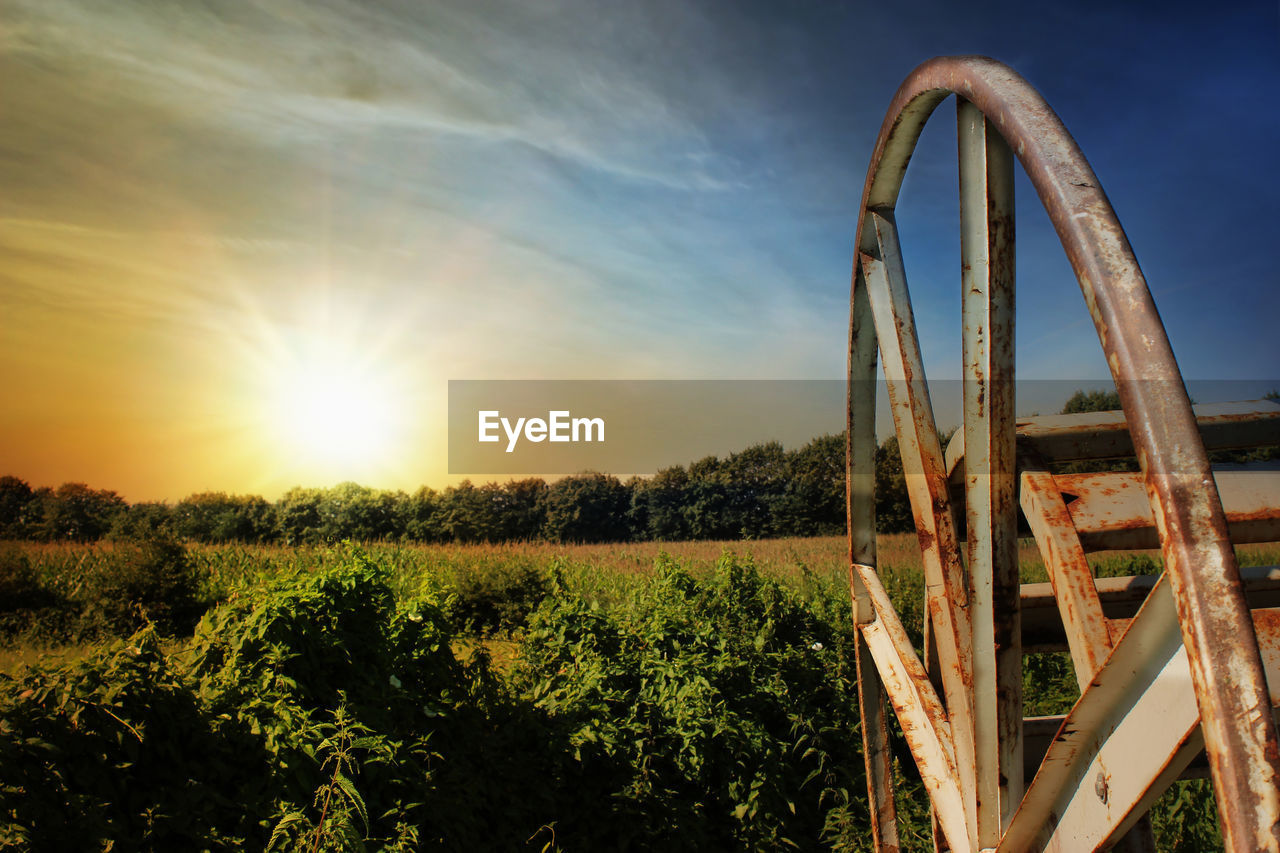 Scenic view of field against sky during sunset