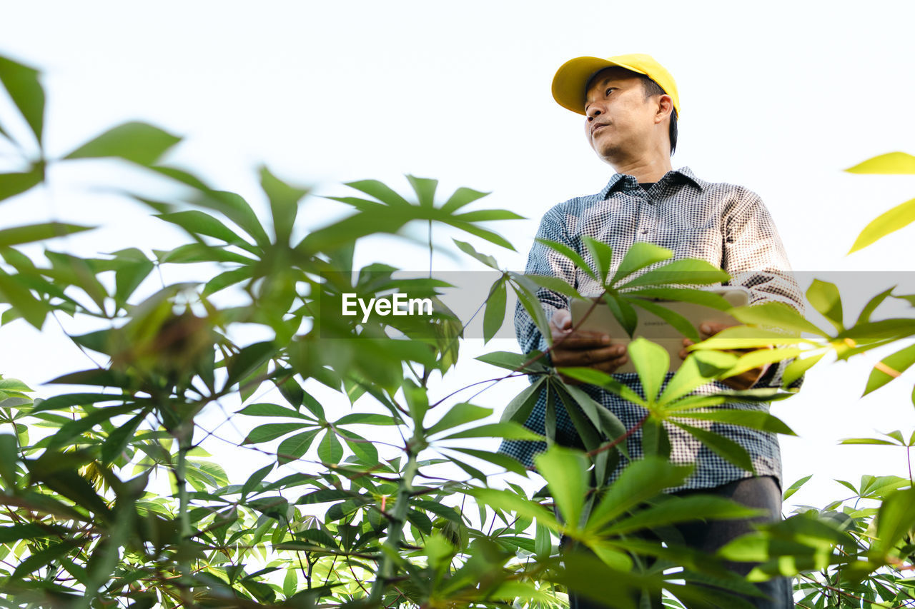 LOW ANGLE VIEW OF MAN LOOKING AWAY AGAINST PLANTS