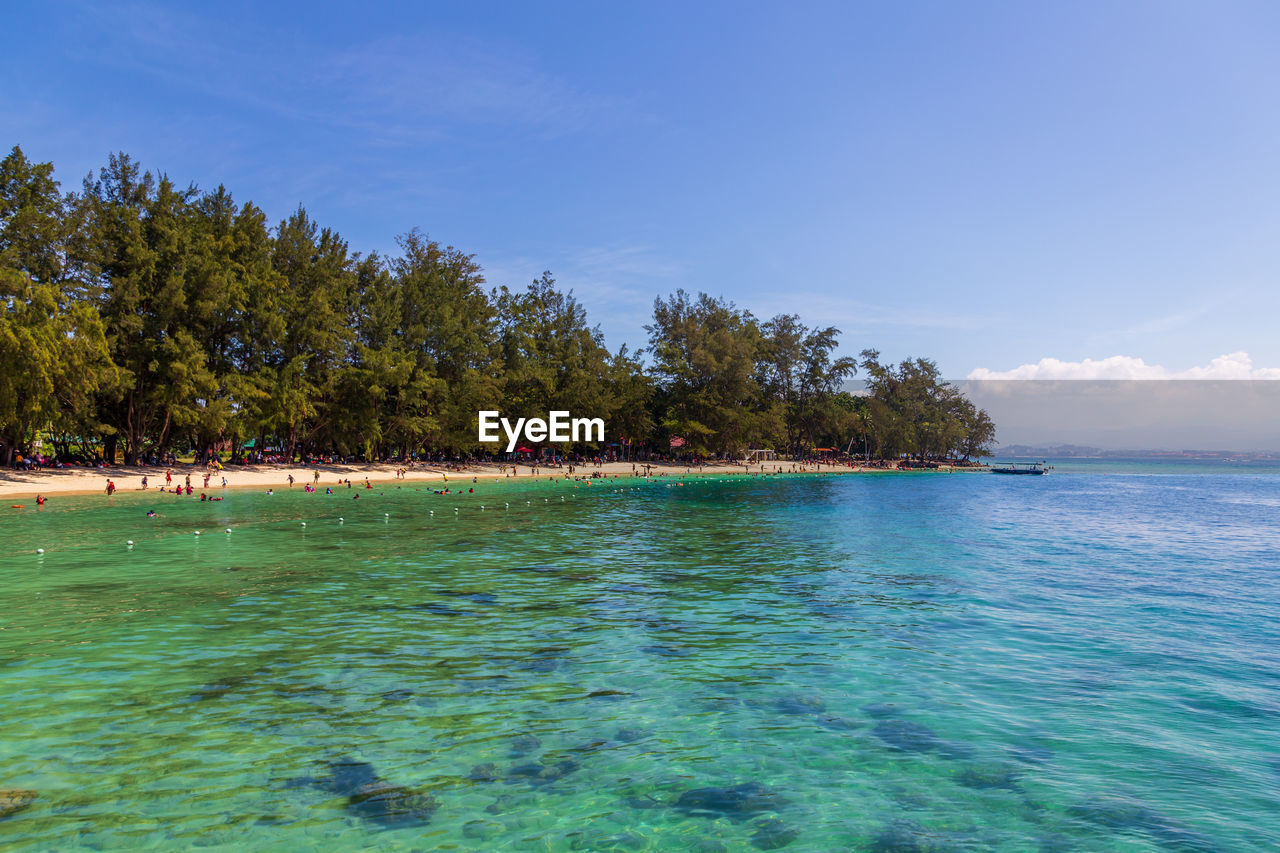 SCENIC VIEW OF SEA AGAINST TREES AGAINST BLUE SKY