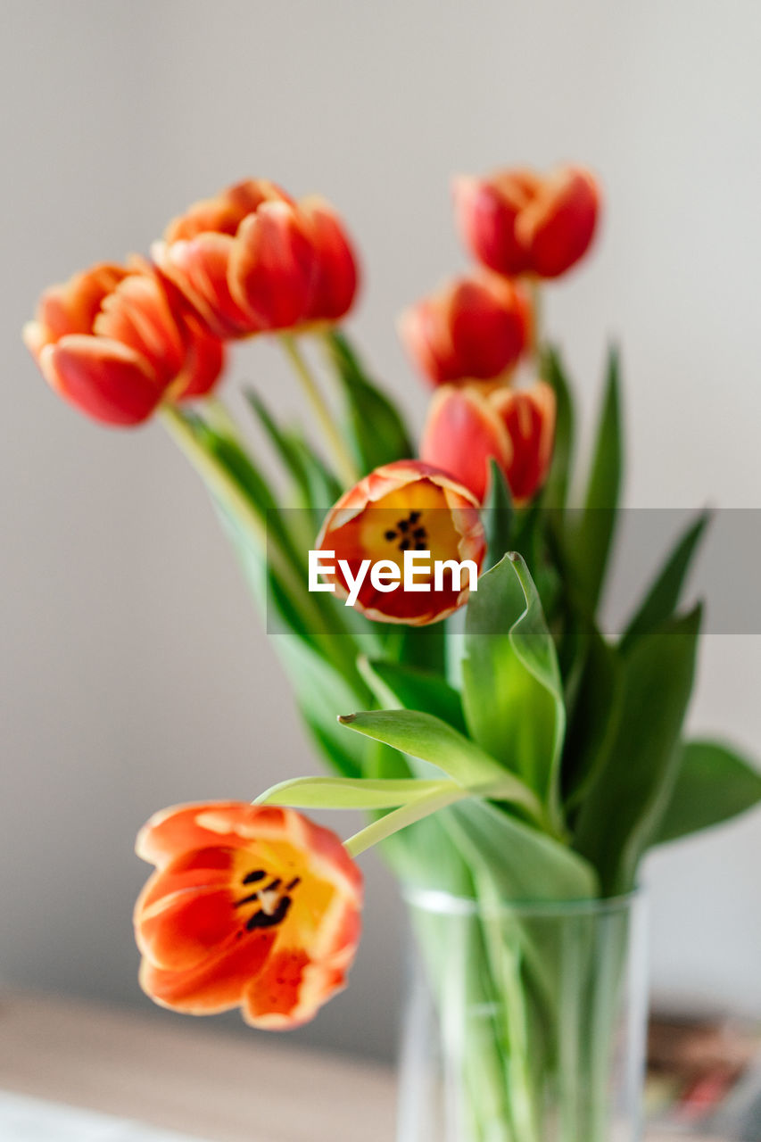 A bouquet of orange tulip flowers in a vase.