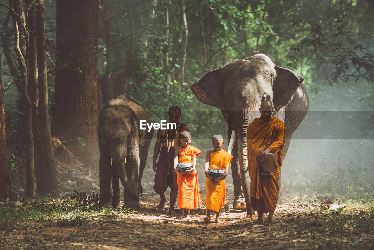 View of monks with elephant walking in forest