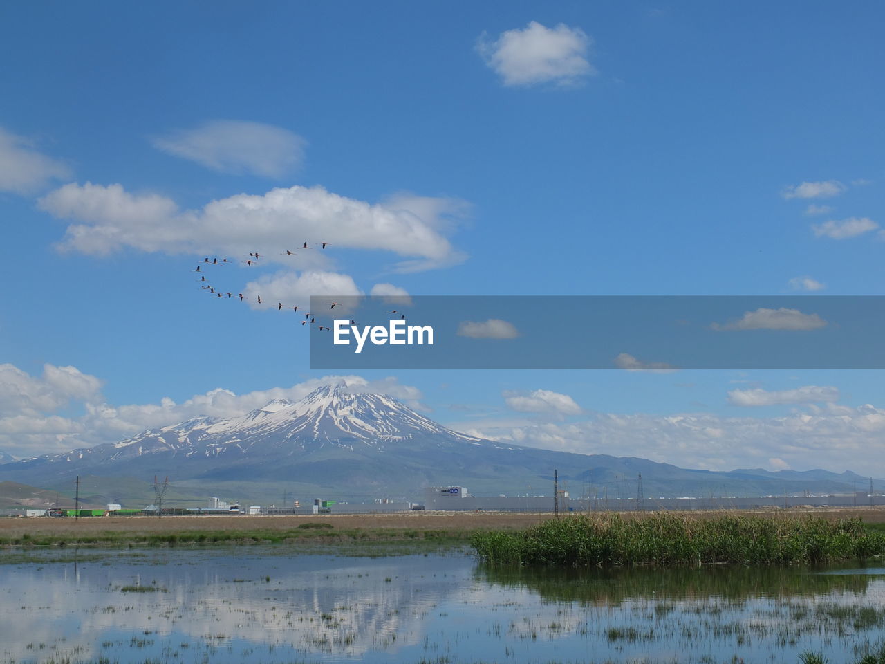 Birds flying over lake against sky