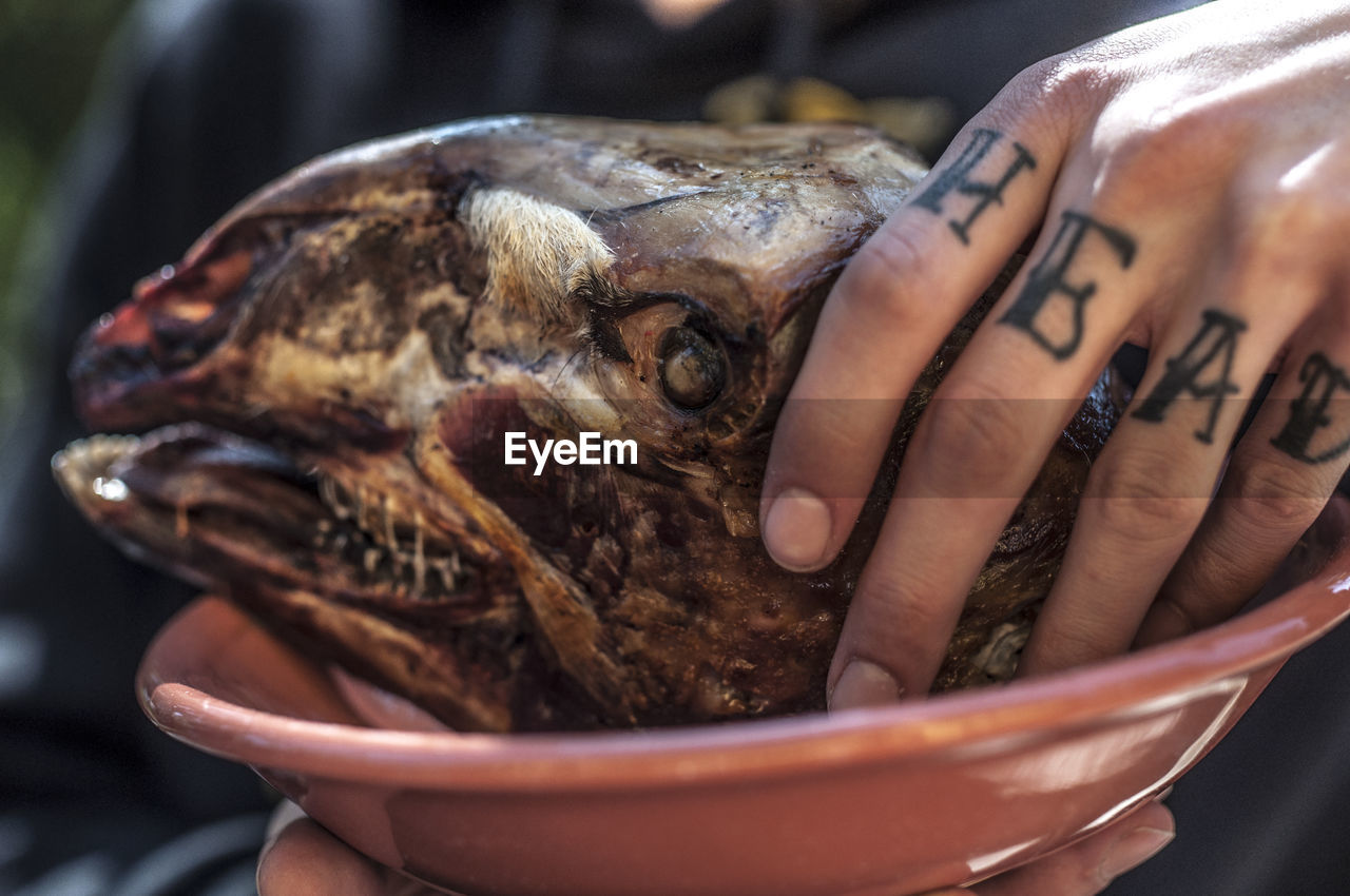 Cropped image of hand with tattoo touching animal head in bowl