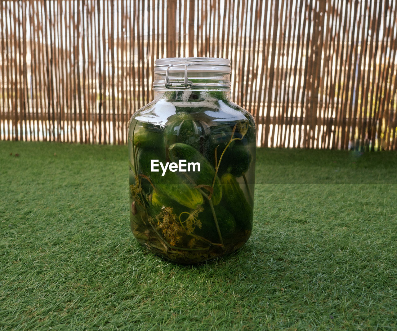 Pickled cucumbers in a closed jar standing on the green grass, blurred background