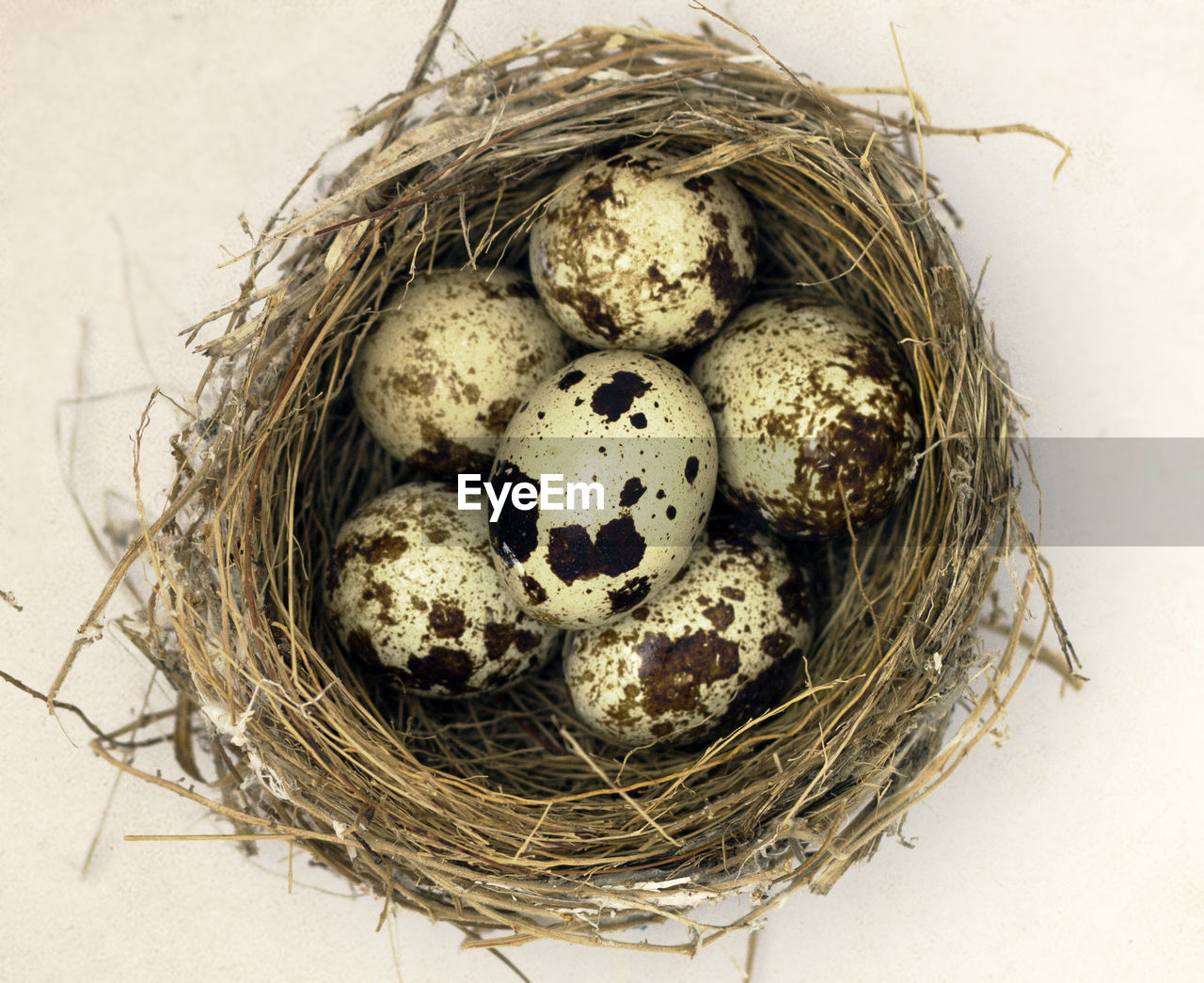 HIGH ANGLE VIEW OF EGGS IN BASKET