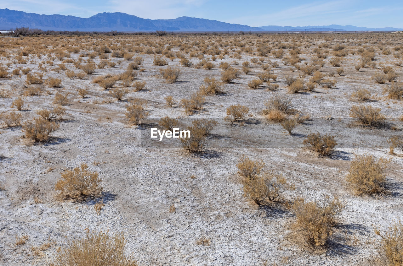 Salt flats in a desert valley in ash meadows national wildlife refuge in nevada