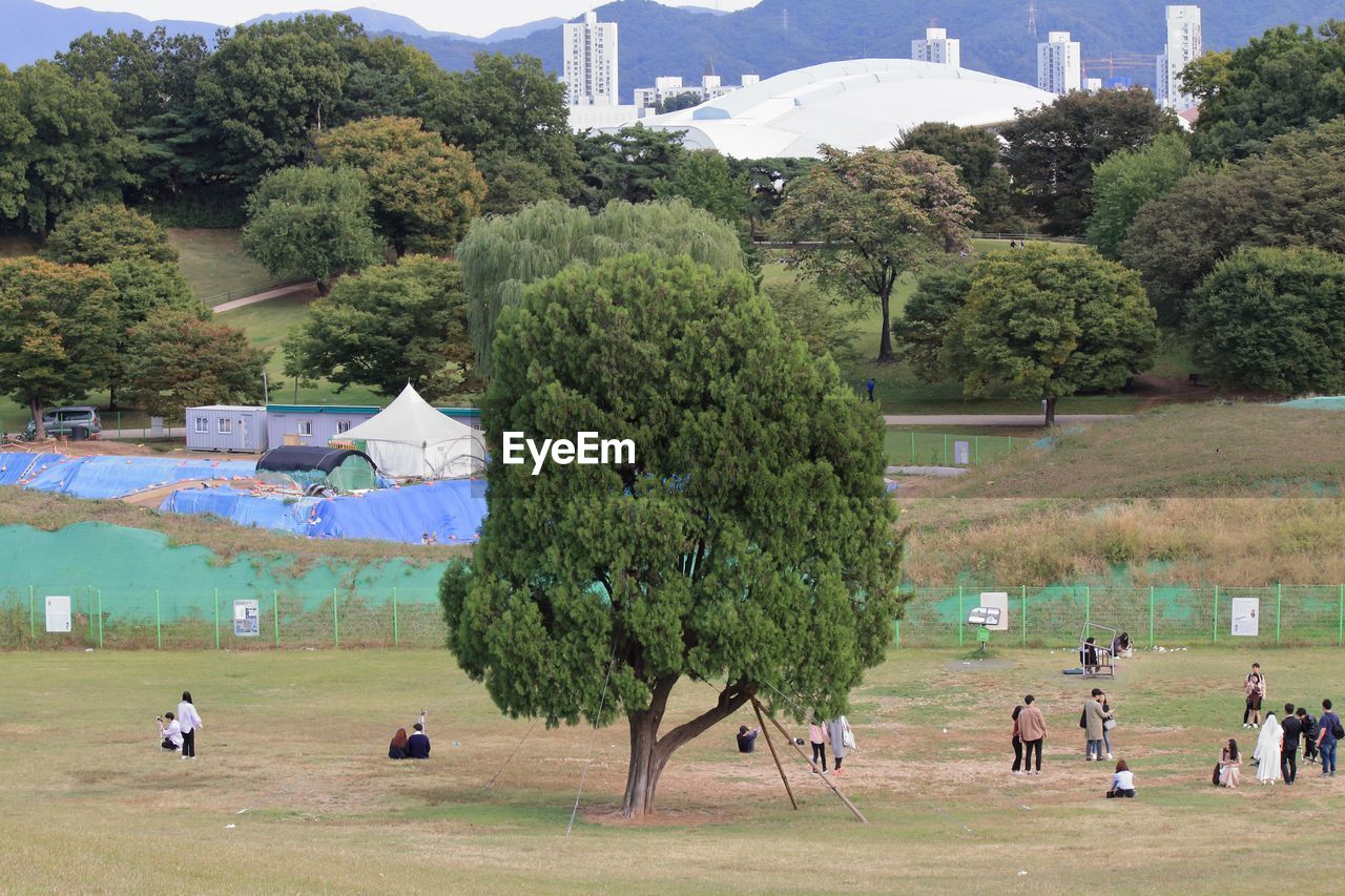 GROUP OF PEOPLE ON FIELD AGAINST TREES