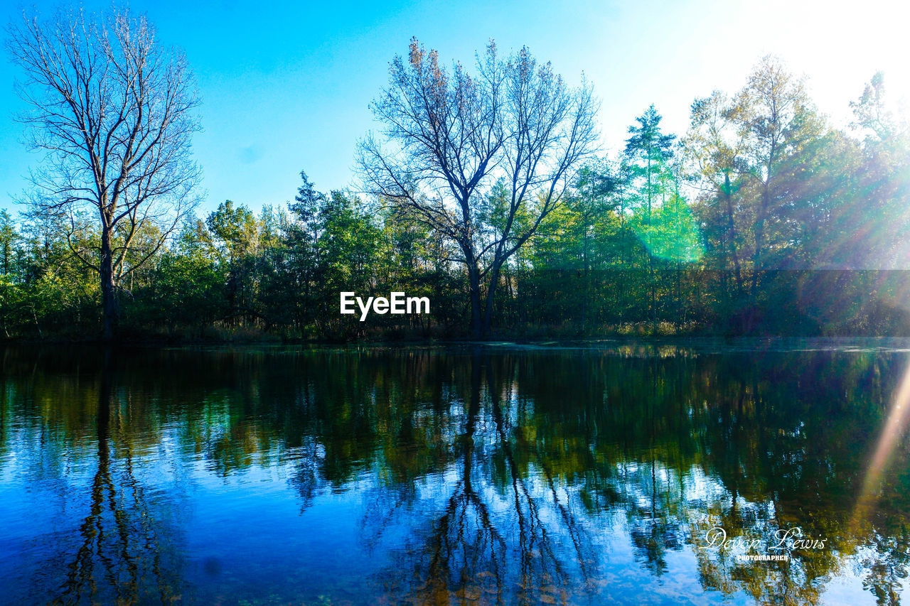 REFLECTION OF TREES IN LAKE