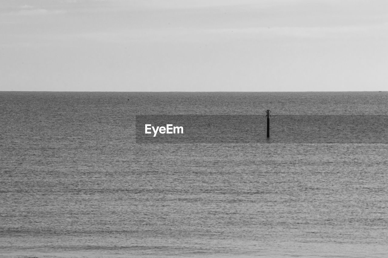 WOODEN POSTS IN SEA AGAINST SKY