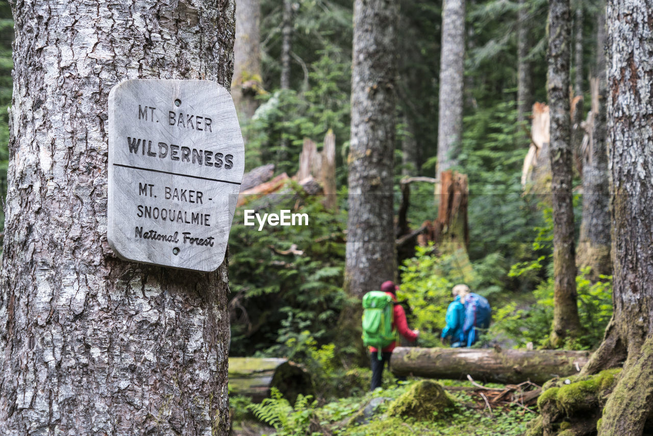 Two female hikers on a trail in the mt. baker wilderness