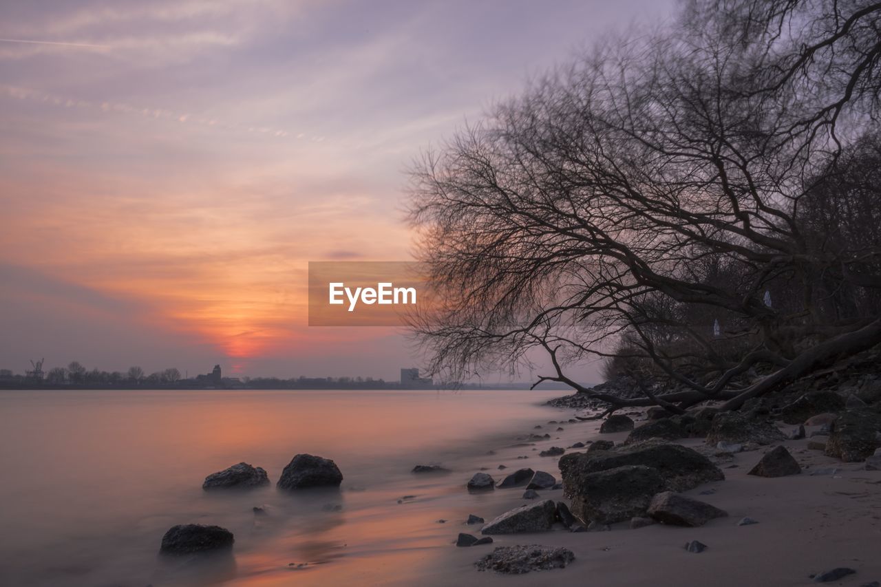 Scenic view of tree against sky during sunset