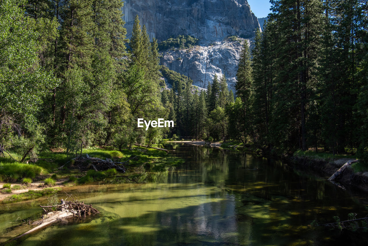 Merced river - yosemite national park