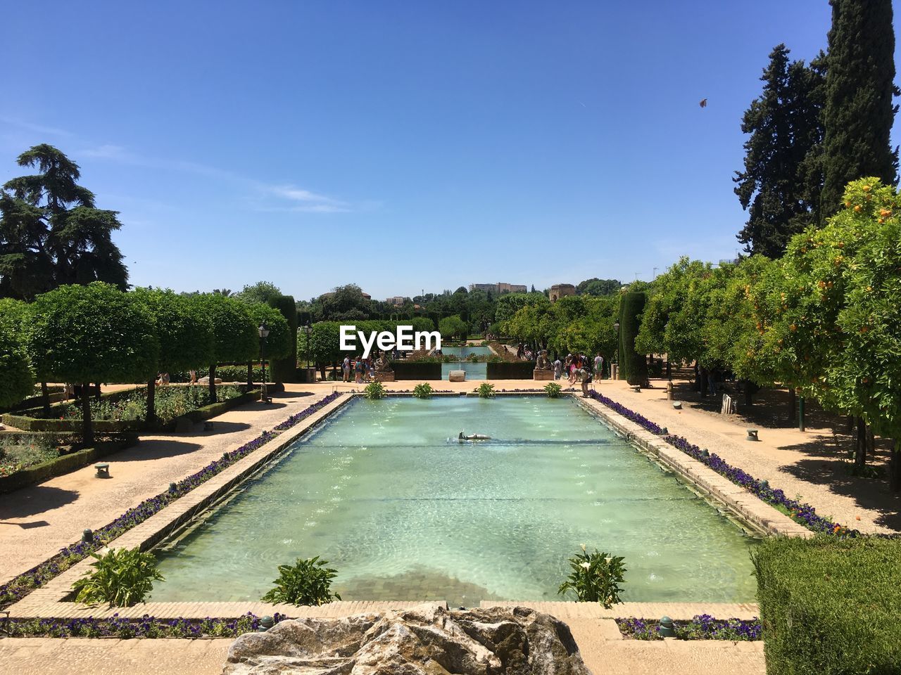 water, tree, plant, nature, estate, swimming pool, sky, architecture, travel destinations, blue, vacation, reflecting pool, sunlight, day, no people, sunny, travel, garden, outdoors, tranquility, beauty in nature, built structure, summer, clear sky, lake, ornamental garden, scenics - nature, tourism, formal garden