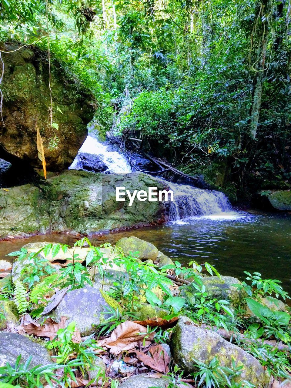 SCENIC VIEW OF WATERFALL