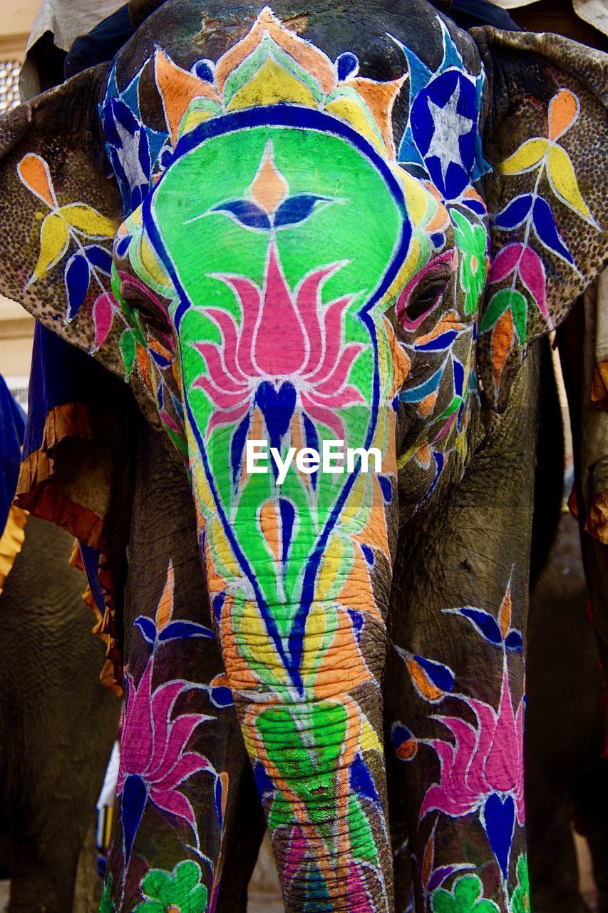 CLOSE-UP OF MULTI COLORED ELEPHANT