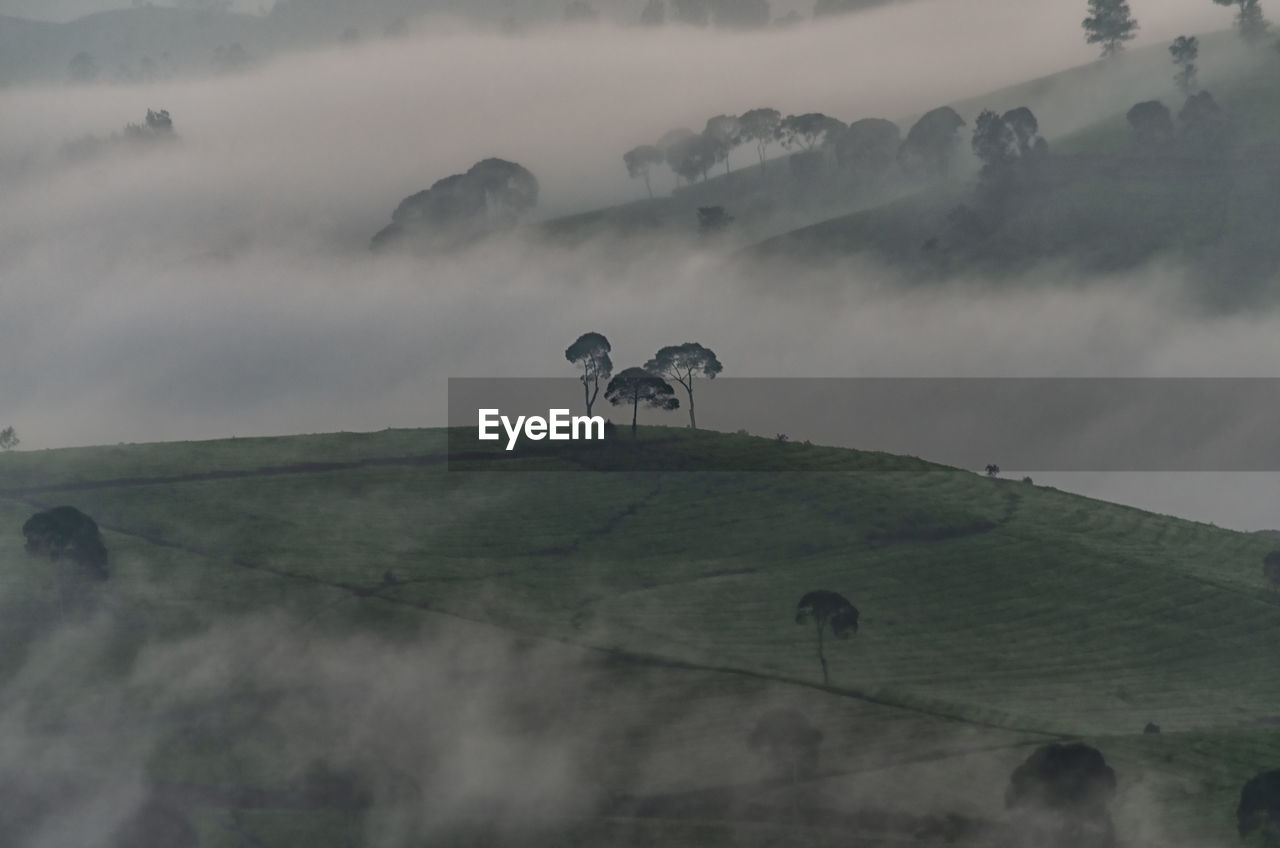 Scenic view of landscape against sky