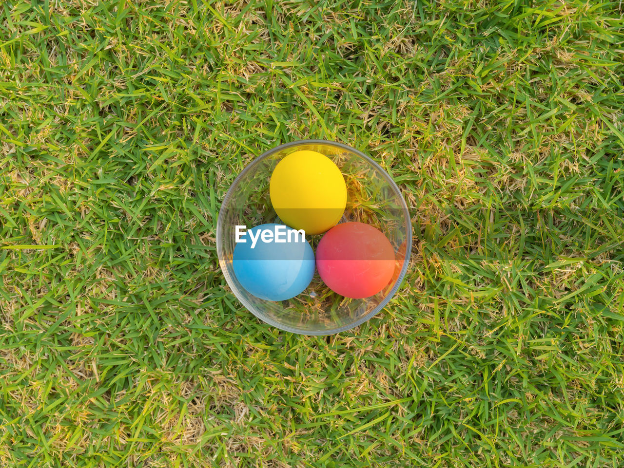 high angle view of easter egg on grassy field