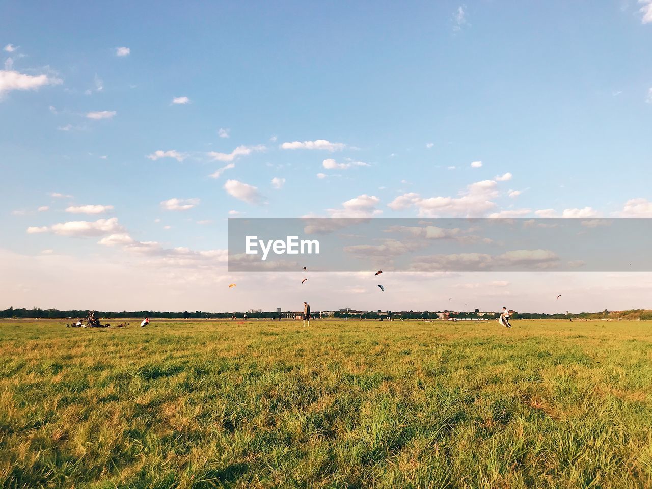 SCENIC VIEW OF FIELD