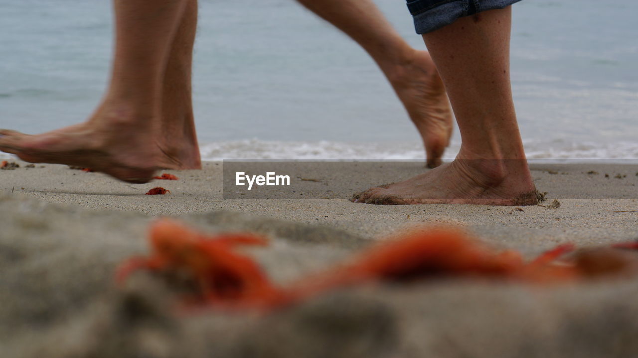 Low section of people at beach