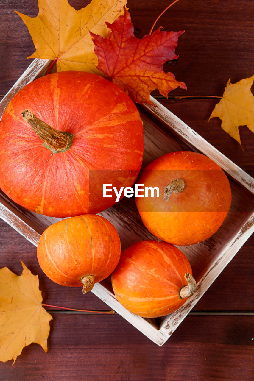 high angle view of pumpkin on table